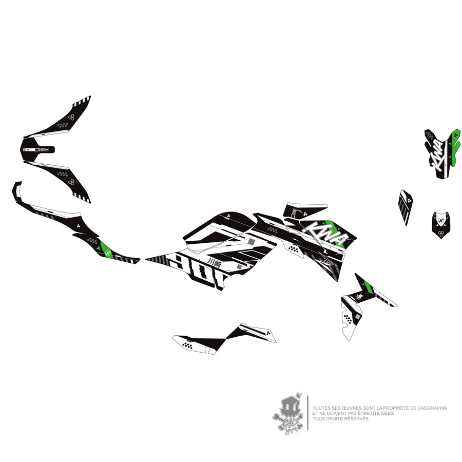 KAWASAKI KIT DÉCO MÉTALLISÉ - Z900 GREEN TECK 01 - ONLY X