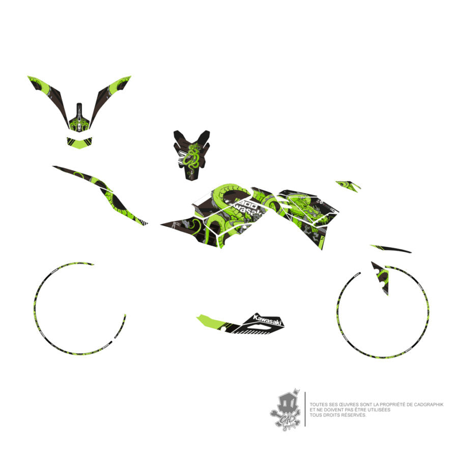 KAWASAKI KIT DÉCO MÉTALLISÉ- Z900 DRAGON - ONLY X