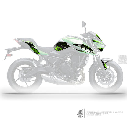 KIT DÉCO KAWASAKI Z650 GRUNGE - AC