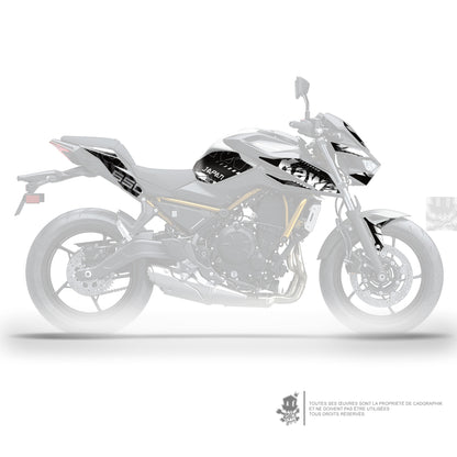 KIT DÉCO KAWASAKI Z650 GRUNGE - W