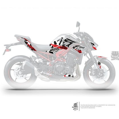 KIT DÉCO KAWAZAKI Z900 CLASSIX - R