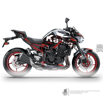 KAWASAKI KIT DÉCO - Z900 GRUNGE R