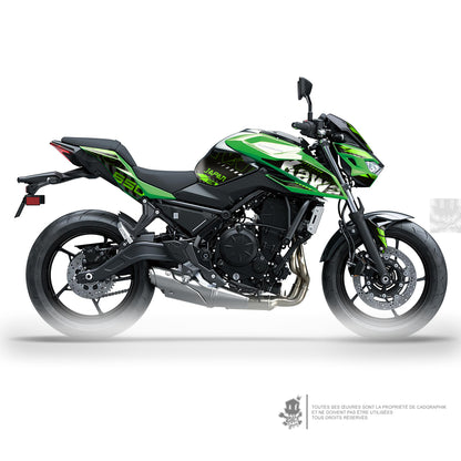 KIT DÉCO KAWASAKI Z650 GRUNGE - AC