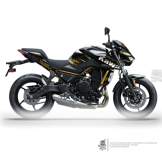 KIT DÉCO KAWASAKI Z650 GRUNGE - O