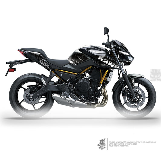 KIT DÉCO KAWASAKI Z650 GRUNGE - W